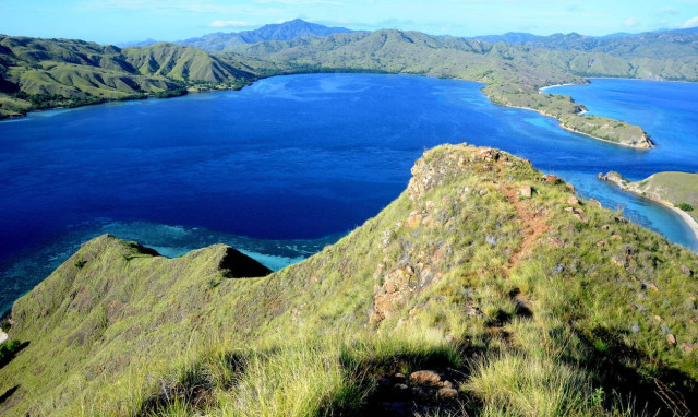 Όσοι ήθελαν να δουν το Κόμοντο και τους δράκους του από κοντά πρέπει... να περιμένουν (pics)
