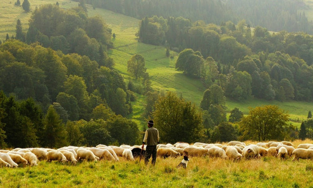 Σε απόγνωση οι αγρότες: Kίνδυνος να χαθούν οι επιδοτήσεις 