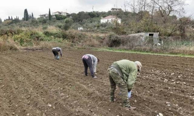 Αγροτικές επιδοτήσεις: Αυτοί θα εξοφληθούν πριν από το Πάσχα