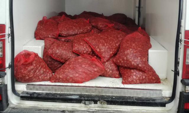 Μπλόκο σε 1.603 κιλά ακατάλληλων οστράκων στην Αλεξανδρούπολη (pics)