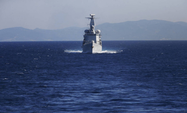 Νεκρά δελφίνια στο Αιγαίο: Ξεβράστηκαν μετά την τουρκική άσκηση «Γαλάζια πατρίδα»