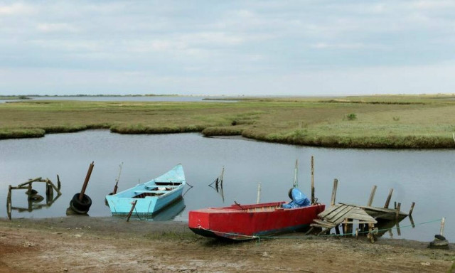 Τραγωδία στον Έβρο: Φοιτητής βρέθηκε νεκρός στο ποτάμι