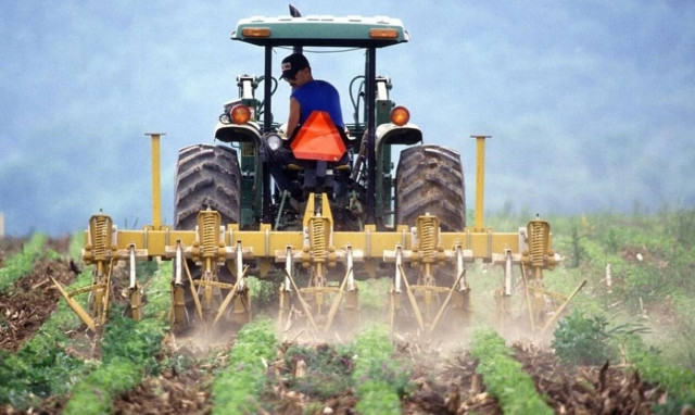 ΟΠΕΚΕΠΕ: Ξεκίνησαν οι αιτήσεις για την ενιαία ενίσχυση – Όσα πρέπει να γνωρίζετε
