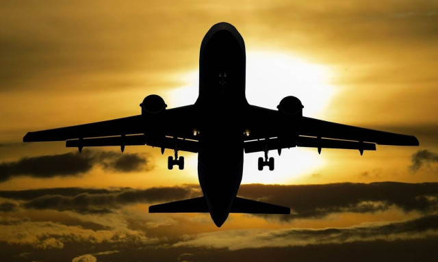 Χάος στο αεροδρόμιο: Δείτε τι «εισέβαλε» στον αεροδιάδρομο