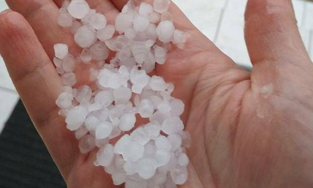 Χαλαζόπτωση προκάλεσε ζημιές σε καλλιέργειες στην Ημαθία - Aποζημιώσεις ζητούν οι αγρότες	