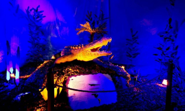 Βυθιστείτε στη θάλασσα του «Ελληνικού Κόσμου»: «Δεινόσαυροι και τέρατα των θαλασσών» 