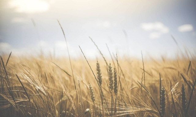 ΕΦΚΑ: Παράταση για εισφορές αγροτών