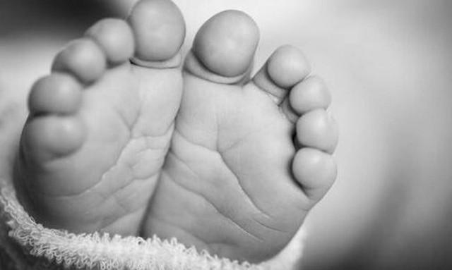 Φρίκη στο Αίγιο: Βρέθηκε νεκρό βρέφος σε κάδο απορριμμάτων