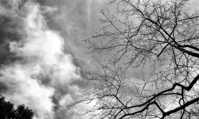 Ο καιρός σήμερα, Κυριακή των Βαΐων