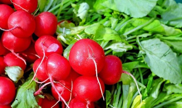 Βιολογική Γεωργία: Αυξάνει τη χρηματοδότηση το Υπουργείο Αγροτικής Ανάπτυξης