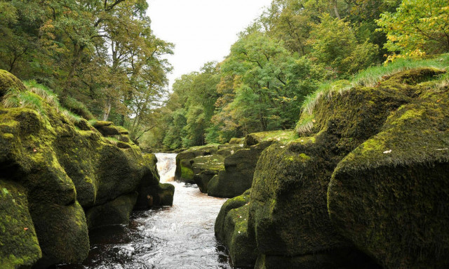 Αν μπεις σε αυτό το ρυάκι θα καταλήξεις νεκρός - Δείτε γιατί (pics)