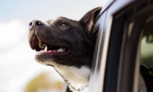 Πάσχα 2019: Αυξημένα μέτρα αστυνόμευσης και τροχαίας - Συμβουλές της ΕΛ.ΑΣ