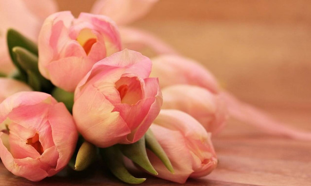 Επιστρέφει τον Μάιο η Ανθοκομική Έκθεση Βάρκιζας