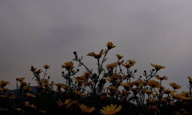 Καιρός Πάσχα 2019 - Αφρικανική σκόνη: Πότε θα χτυπήσει το μεγάλο κύμα - Ποιες περιοχές θα καλύψει