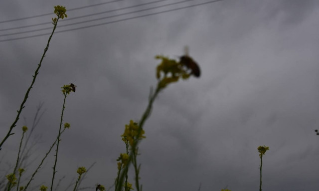 Πάσχα 2019: Με τι καιρό θα κάνουμε Επιτάφιο, Ανάσταση και Πάσχα