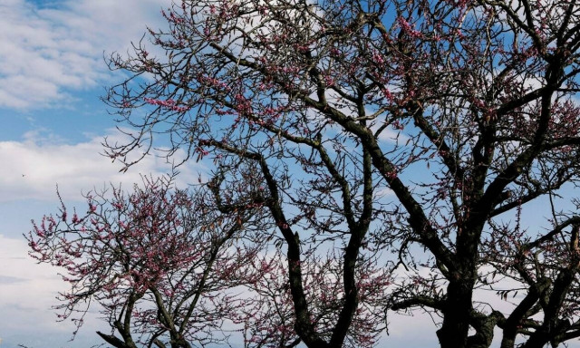 Ο καιρός μέχρι την Πρωτομαγιά - Δείτε τους προγνωστικούς χάρτες της ΕΜΥ