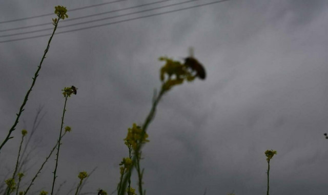 Καιρός: Ζέστη και πρόσκαιρες νεφώσεις – Σε ποιες περιοχές θα βρέξει (pics)