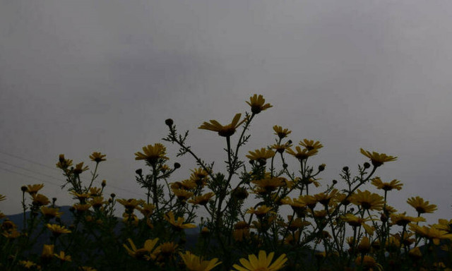 Καιρός: Έρχονται βροχές και καταιγίδες – Δείτε την αναλυτική πρόγνωση (pics)