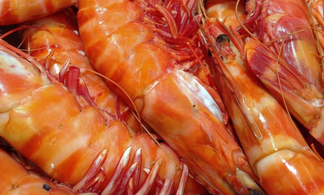 Έπαθαν ΣΟΚ: Δείτε τι βρήκαν μέσα σε γαρίδες (pics)