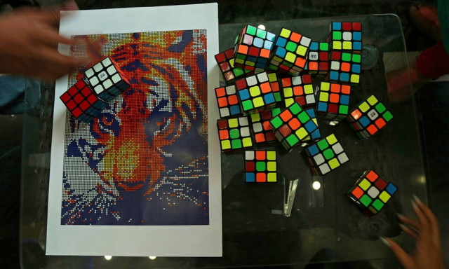 Τι σχέση μπορεί να έχει ο κύβος του Ρούμπικ με μία τίγρη; Δείτε τις φωτογραφίες