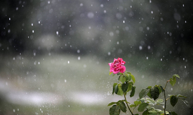 Καιρός: Φθινόπωρο αντί για άνοιξη - Πότε θα σταματήσει να βρέχει - Αναλυτικά η πρόγνωση του meteo