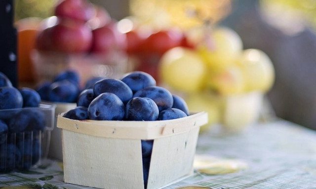 ΕΛΓΑ: Πότε θα αποζημιωθούν οι αγρότες για τις ζημιές από τον καιρό