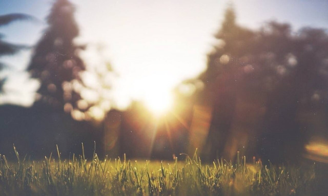 Έκαναν βόλτα στο πάρκο - Αυτό που βρήκε η κόρη τους τούς άλλαξε τη ζωή! (pics)