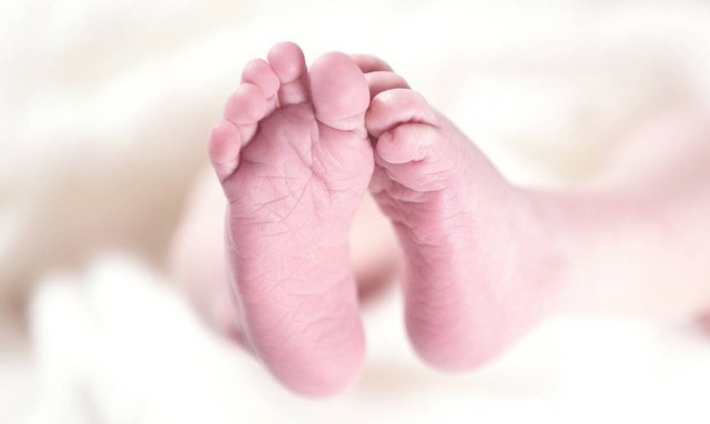 Σκύλος έσωσε βρέφος - Η μητέρα του το είχε θάψει ζωντανό