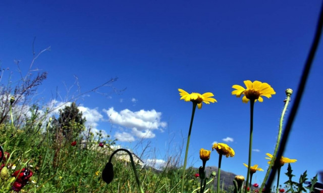 Καιρός: Μετά το χαλάζι... καλοκαίρι – Πότε έρχονται 30άρια (ΧΑΡΤΕΣ)