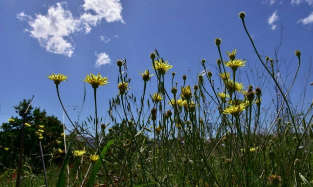 Ο καιρός σήμερα, Σάββατο 18 Μαΐου