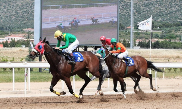 Markopoulo Park: Το παιχνίδι του Γκανιάν «απογείωσε» το ενδιαφέρον και τα κέρδη