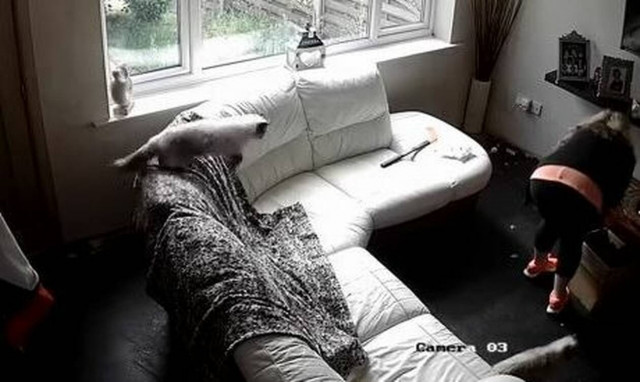 Έπαθαν ΣΟΚ όταν είδαν με κρυφή κάμερα τι έκανε η babysitter στο σπίτι τους (pics)