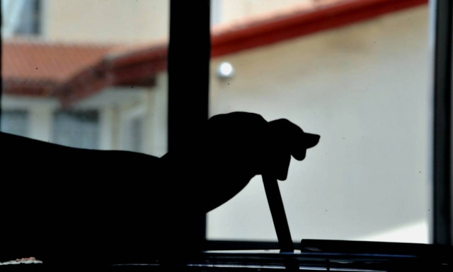 Περιφερειακές εκλογές 2019: Πού ψηφίζω 2019 - Βρείτε το εκλογικό σας κέντρο με ένα «κλικ»