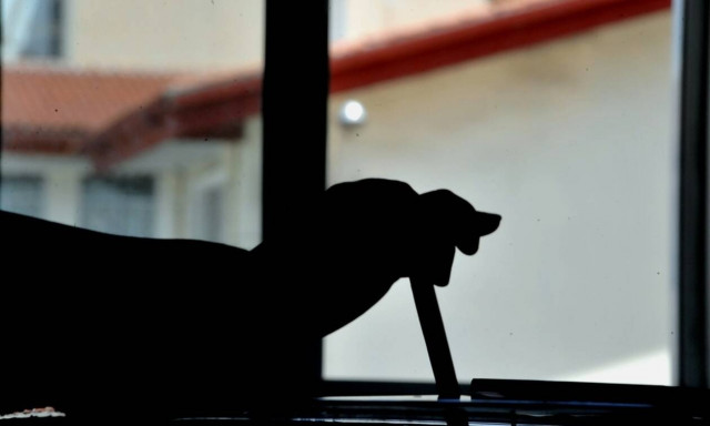 Exit poll - Exit polls 2019: «Κλείδωσε» το αποτέλεσμα - Αυτός είναι ο νικητής των Ευρωεκλογών 2019