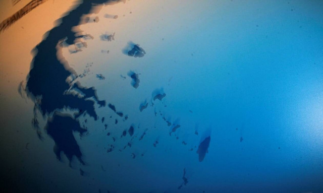 Αποτελέσματα Εκλογών 2019: Τα αποτελέσματα σε όλους τους Δήμους και τις Περιφέρειες