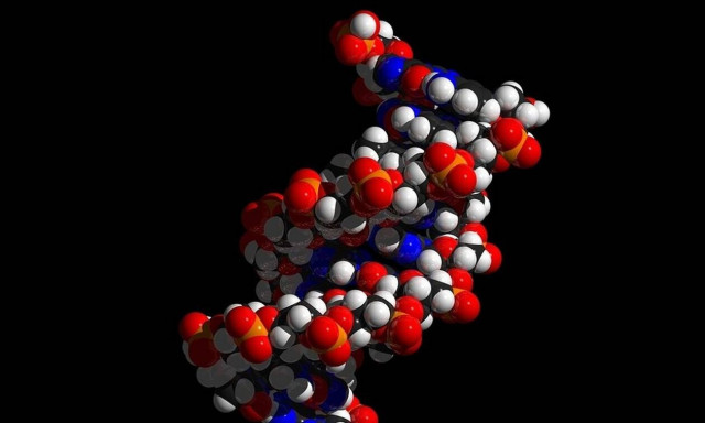 Έκανε τεστ DNA – Έπαθε ΣΟΚ όταν έμαθε την πραγματική του ταυτότητα