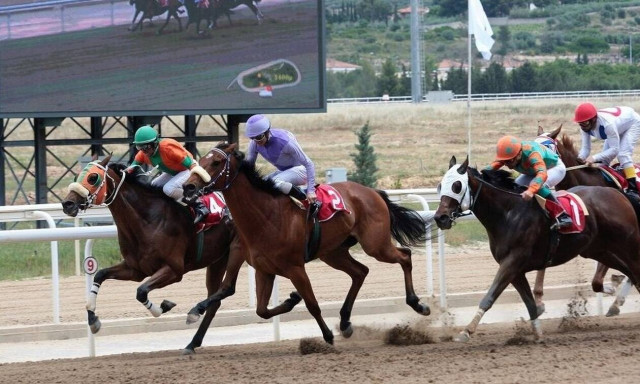 Markopoulo Park: Επτά εντυπωσιακές κούρσες, ενισχυμένο Γκανιάν και εκπλήξεις για όλη την οικογένεια