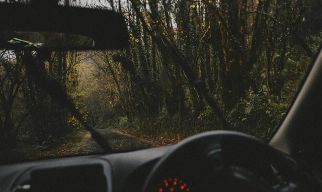 Φλώρινα: Έπαθε ΣΟΚ με αυτό που είδε ξαφνικά στη μέση του δρόμου (pics)