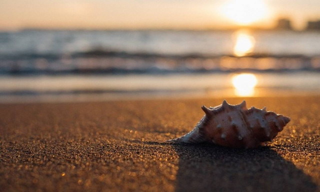 ΟΠΕΚΑ: Έτσι θα κάνετε δωρεάν διακοπές - Άνοιξαν τα νέα προγράματα