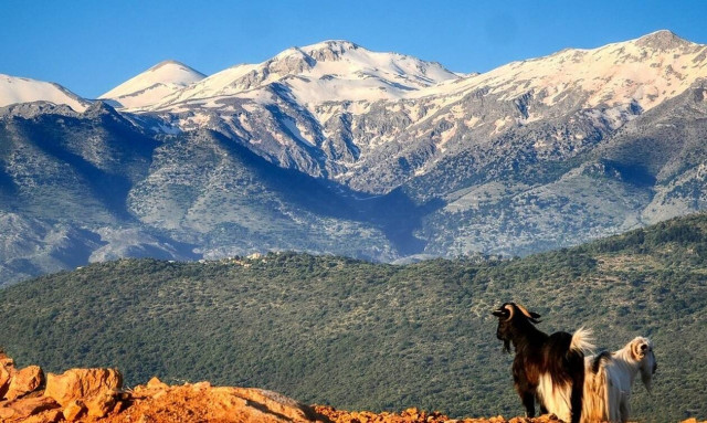 Προγράμματα Αγροτικής Εστίας 2019: Πότε ξεκινούν οι αιτήσεις - Ποιους αφορούν