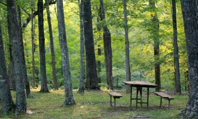 Παιδικές κατασκηνώσεις: Δείτε πότε ξεκινoύν οι αιτήσεις για τους φορείς του ΕΦΚΑ