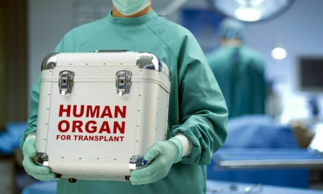 Ηράκλειο: Έδωσαν ζωή μέσα από το θάνατο του δικού τους ανθρώπου