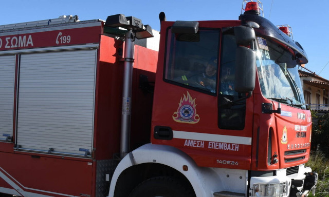 Φωτιά ΤΩΡΑ στις Πλαταιές Βοιωτίας - Ισχυροί άνεμοι πνέουν στην περιοχή