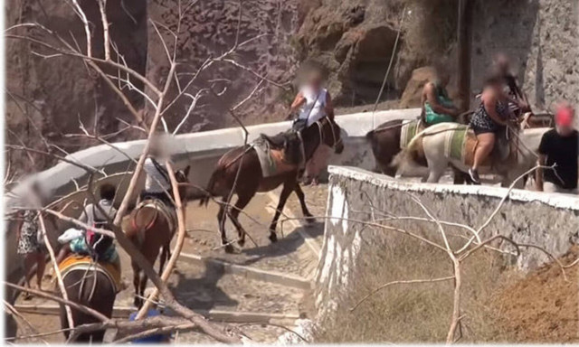 Διαδηλώσεις στις ελληνικές Πρεσβείες για τα «γαϊδουράκια-ταξί» στην Σαντορίνη