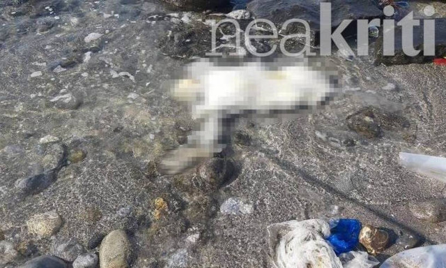 Θρίλερ με το πτώμα που βρέθηκε στο Λασίθι - Άγνωστη παραμένει η ταυτότητά του