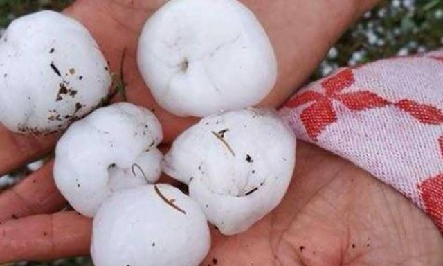 Γαλλία: Μία νεκρή από την κακοκαιρία - Τεράστιες ζημιές από το χαλάζι σε μέγεθος καρυδιού (pics+vids