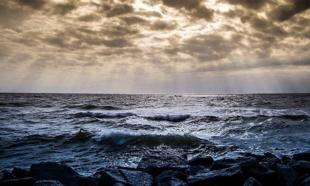 Κρήτη: Έντρομοι οι λουόμενοι με αυτό που πετάχτηκε από τη θάλασσα 