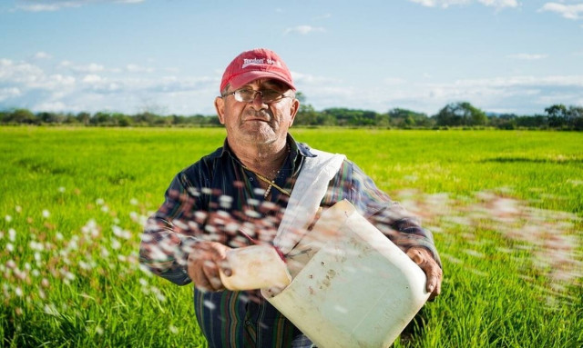 ΟΠΕΚΑ: Aιτήσεις για προγράμματα Αγροτικής Εστίας - Πότε λήγει η προθεσμία