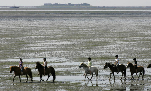 Το νησί των 16 κατοίκων που παλεύει με τη θάλασσα (vid)
