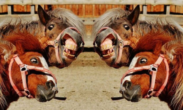 Ένας τρελός, τρελός κόσμος: 10 παράξενα πράγματα που απαγορεύονται στον πλανήτη ΓΗ!